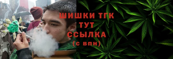 шишки Абинск