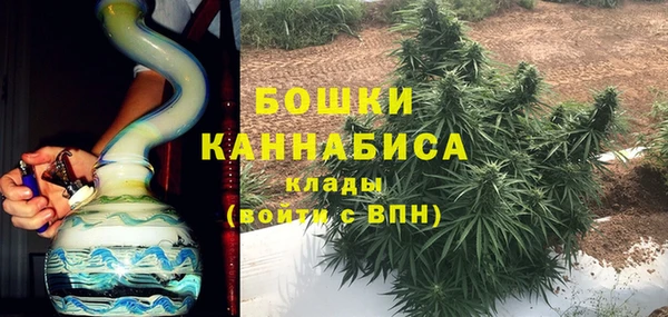 ГАЛЛЮЦИНОГЕННЫЕ ГРИБЫ Няндома